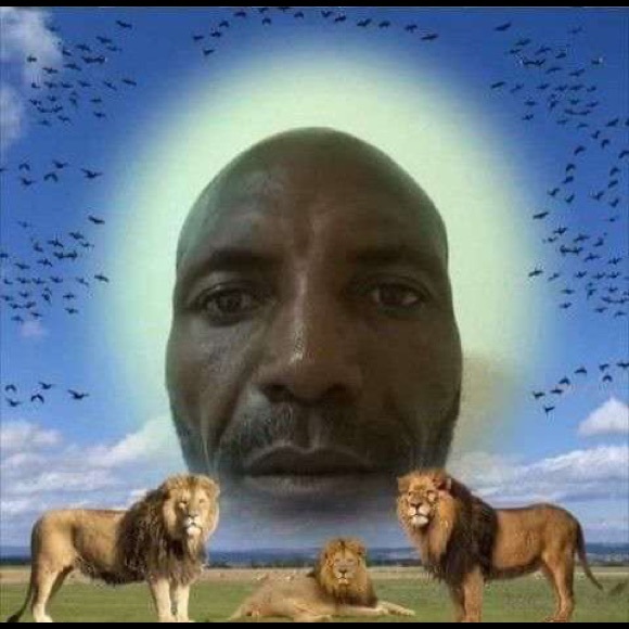 Meet your Posher, Jonah - Picture 1 of 1